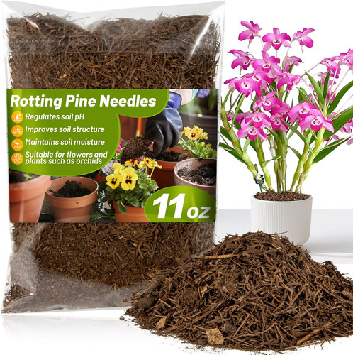Rotted pine needle - 11, oz