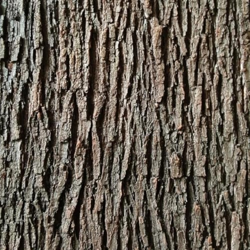 Artificial tree bark - artificial,