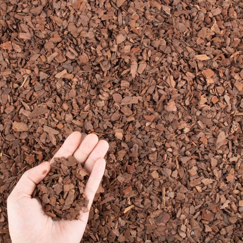Organic orchid potting - 9,