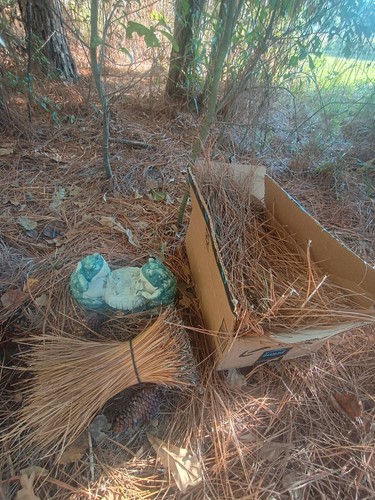 Organic mulch cajun pine - organic,