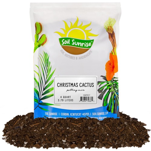 Christmas cactus potting soil - potting,